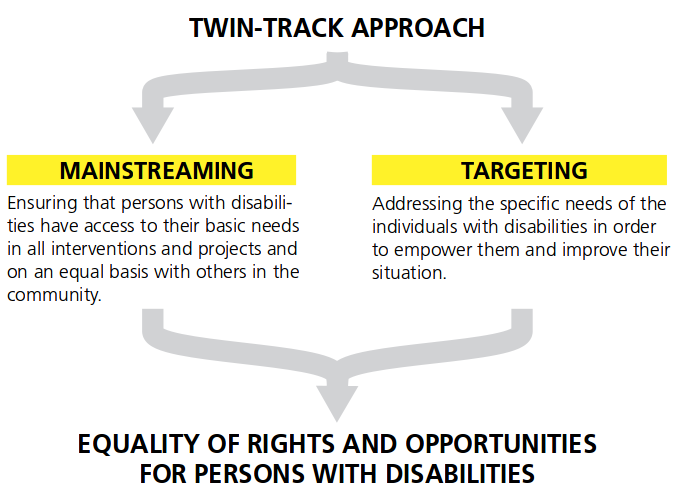 Diagram of the twin track approach 